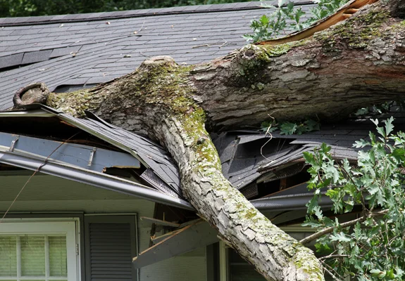 Resized-Services-Images-6